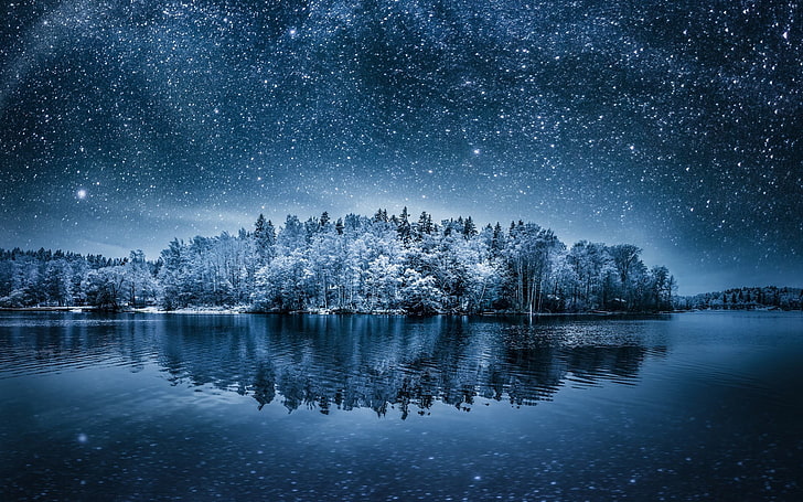 snowy trees, winter, water, sky, forest, night, scenics - nature