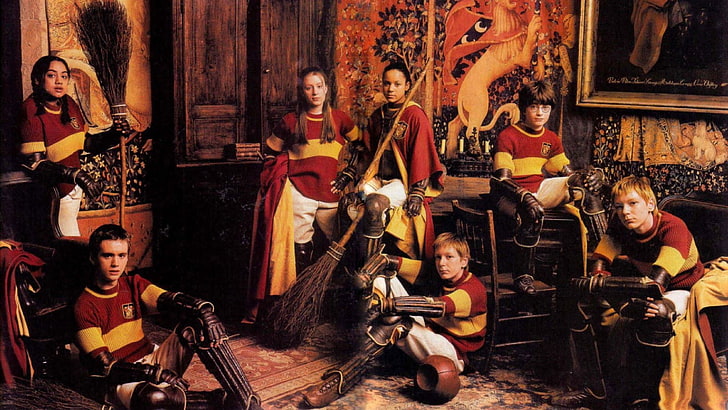 boy's yellow and red jersey, Harry Potter, Gryffindor, group of people, HD wallpaper