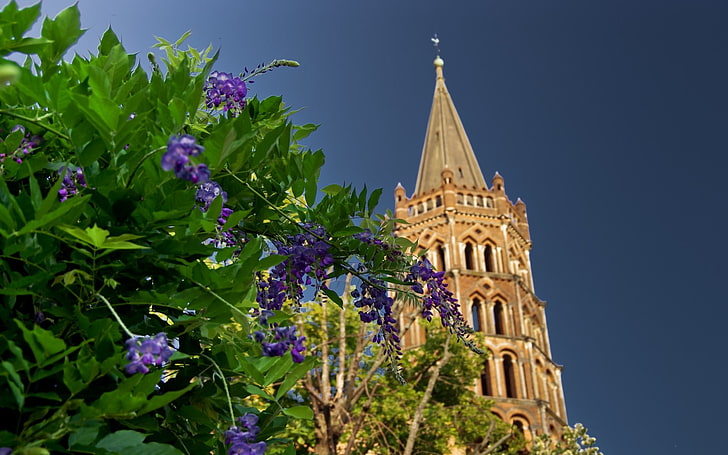 Toulouse, France, Basilique Saint-Sernin, church, monuments, HD wallpaper