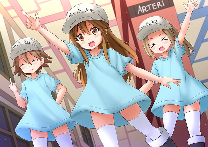 Cells at work platelets!