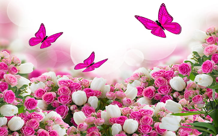 Flower Bouquet White And Pink Roses And Flying Butterflies Hd Wallpaper Download For Mobile And Tablet 3840х2400