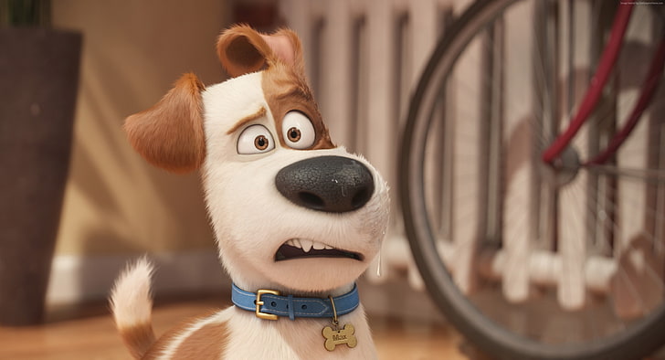 The Secret Life of Pets, dog, cartoon, Best Animation Movies of 2016