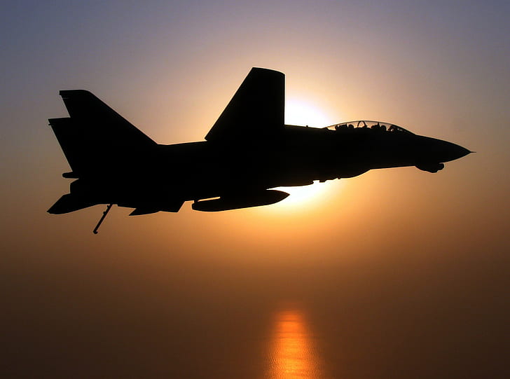 F-14 Tomcat, military aircraft, jet fighter, silhouette, HD wallpaper