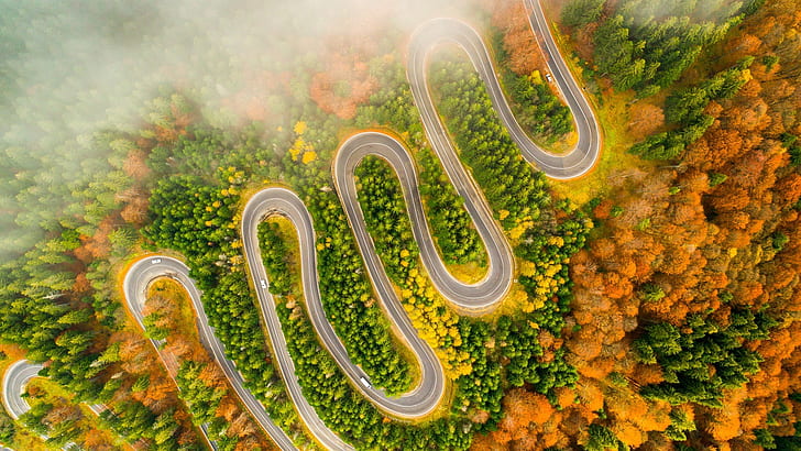 winding road, forest, autumn, autumn forest, drone view, aerial view