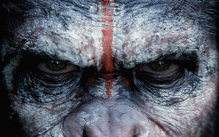 War for the Planet of the Apes, 4k, HD wallpaper