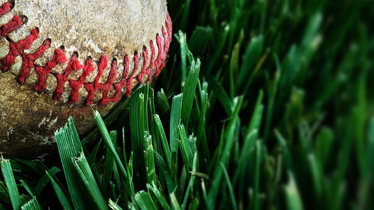 white baseball, macro, grass, balls, baseball - Ball, sport, baseball - Sport, HD wallpaper