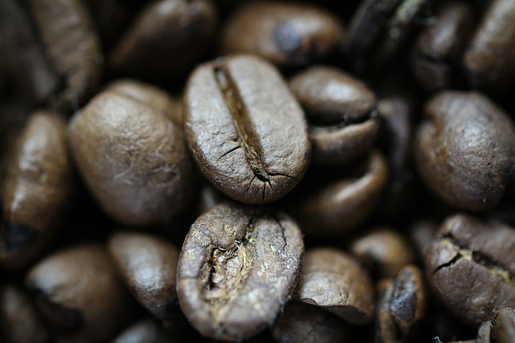closeup photography of coffee beans, Daily, Nourishment, Daniel Zimmermann, HD wallpaper
