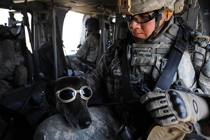 soldiers army military animals dogs 2700x1796  Animals Dogs HD Art, HD wallpaper