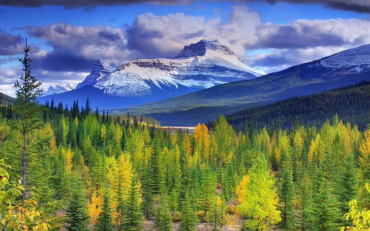 Banff National Park, Alberta, Canada, mountains, sky, forest, trees, HD wallpaper