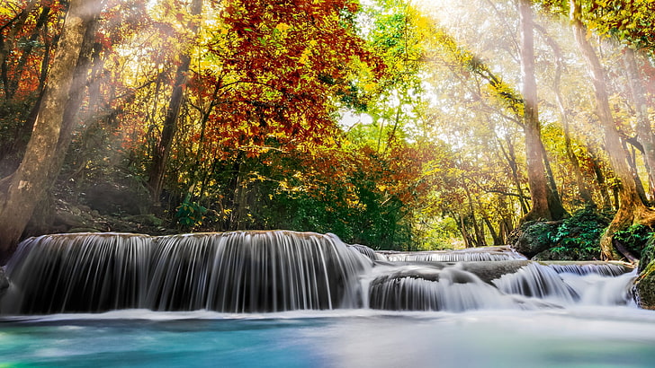 autumn, nature, waterfall, leaf, vegetation, stream, national park, HD wallpaper