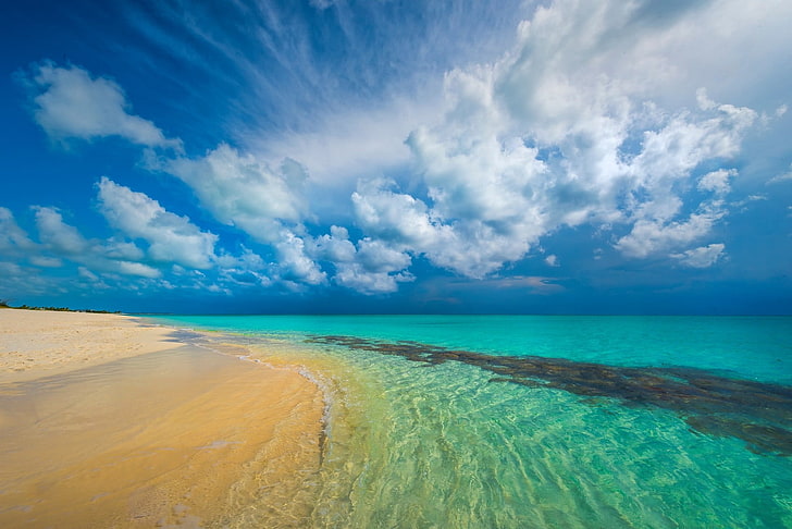 green beach, nature, landscape, tropical, Caribbean, island, turquoise, HD wallpaper