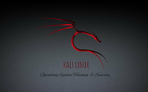 HD wallpaper: Linux, GNU, Kali Linux, Kali Linux NetHunter, text, red,  studio shot | Wallpaper Flare