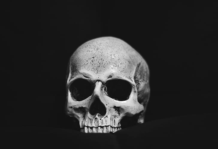 bones, skull, monochrome, HD wallpaper