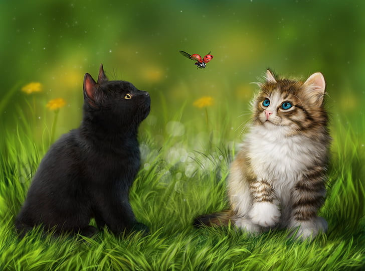 HD wallpaper: baby, cat, cute, kitten | Wallpaper Flare