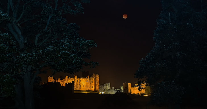 castle, Red moon, tree, night, architecture, built structure, HD wallpaper