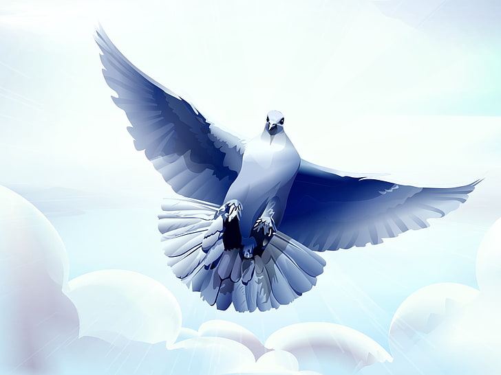 white and blue pigeon illustration, dove, bird, flying, vector