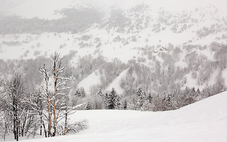 nature, snow, winter, mountains, landscape, cold temperature, HD wallpaper