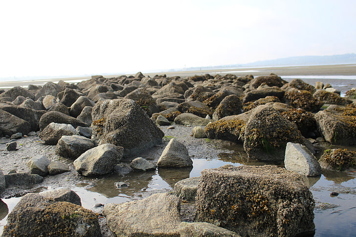 calm, nature, beach, water, rock, solid, sky, sea, rock - object, HD wallpaper