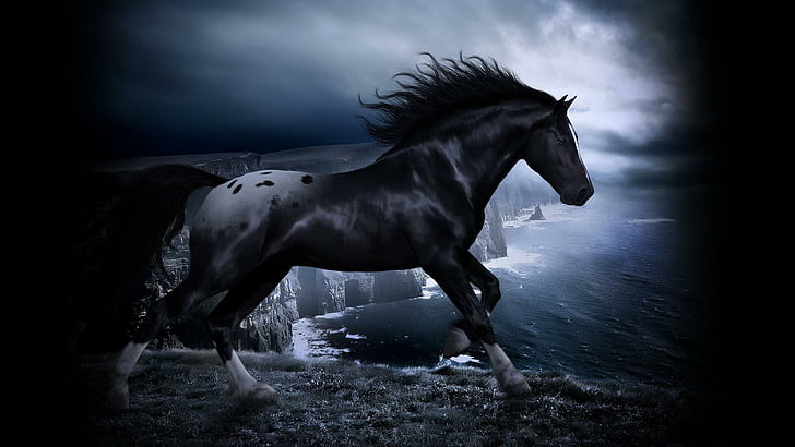 horse, darkness, twilight, night, sea, coast, mane, beauty