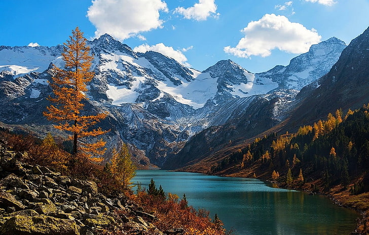brown leafed trees and snow-covered mountains, nature, lake, fall