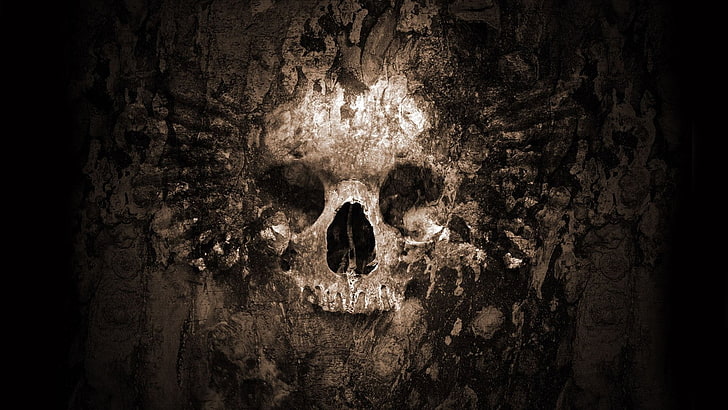 HD wallpaper: horror, skull, fear, indoors, dark, cave, people, human body  part | Wallpaper Flare