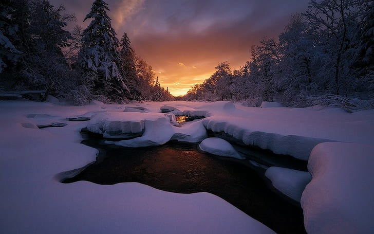 nature, landscape, sunset, cold, winter, forest, sky, Maine