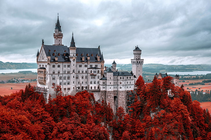 gray and green castle, Germany, autumn, mountain, Neuschwanstein, HD wallpaper