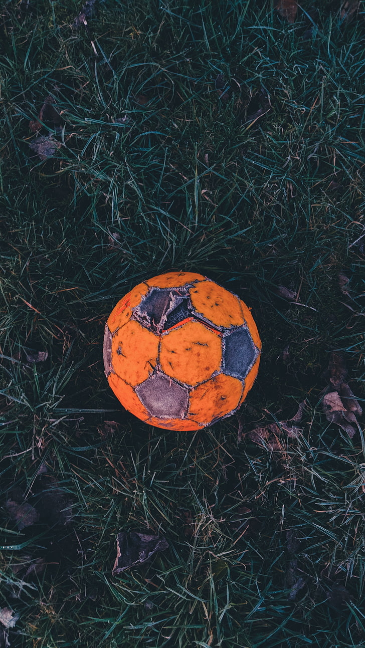 orange and gray soccer ball, football, old, grass, hoarfrost, HD wallpaper