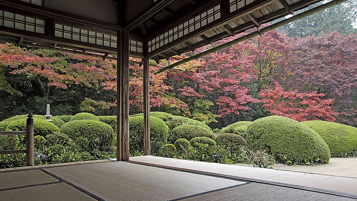 Japan, garden, trees, courtyard, zen garden, HD wallpaper
