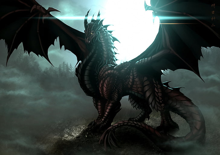 Black Dragon Wallpapers  Top Free Black Dragon Backgrounds   WallpaperAccess
