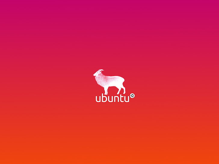 Ubuntu logo, Linux, animal, bird, colored background, animal themes, HD wallpaper