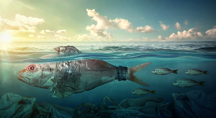sea, fish, garbage, the ocean, bottle, pollution, plastic, packages, HD wallpaper