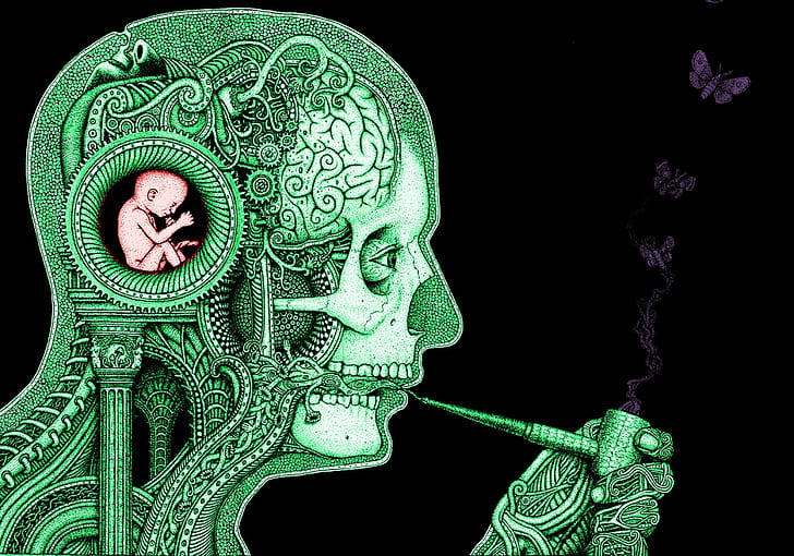 brain, clockwork, baby, science, smoking, butterfly, skull