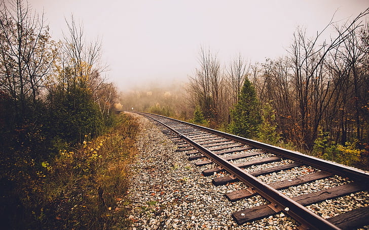 landscape, railway, trees, fall, mist, HD wallpaper