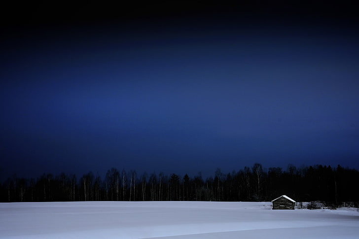 snow, Estonia, flag, winter, cold temperature, tree, night, HD wallpaper