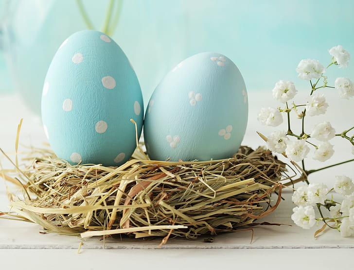 Blue Eggs, Easter Holiday, two blue and white eggs, HD, HD wallpaper