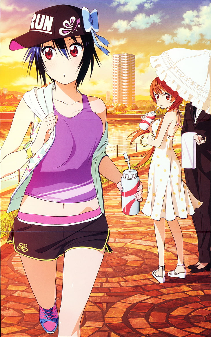 HD wallpaper: anime, girls, hair, long, nisekoi, series, tsugumi, women,  adult | Wallpaper Flare