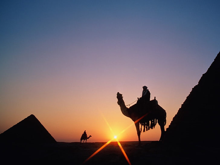 Pyramids of Giza, silhouette, camels, people, men outdoors