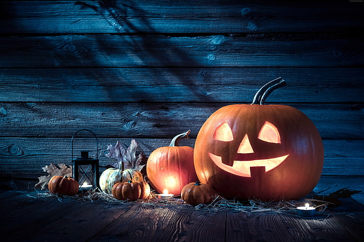 Holiday, Halloween, pumpkin host, 31 october, HD wallpaper