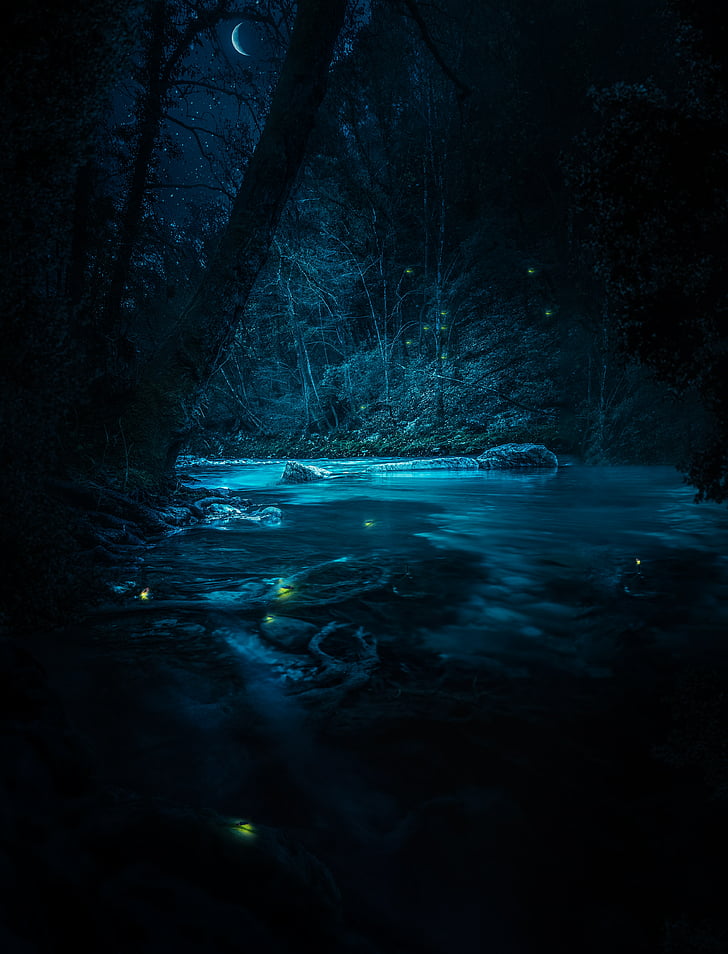 River, Stream, Fairies, Night, Forest, 4K