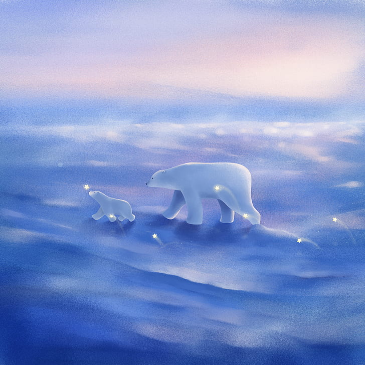 Polar bears, Stars, Cub, Mother, HD, HD wallpaper
