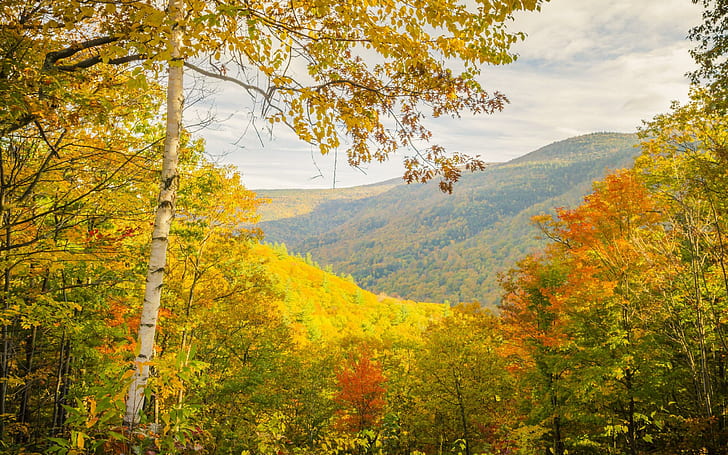 HD wallpaper: Autumn Trees Mountains Landscape Pictures For Desktop ...