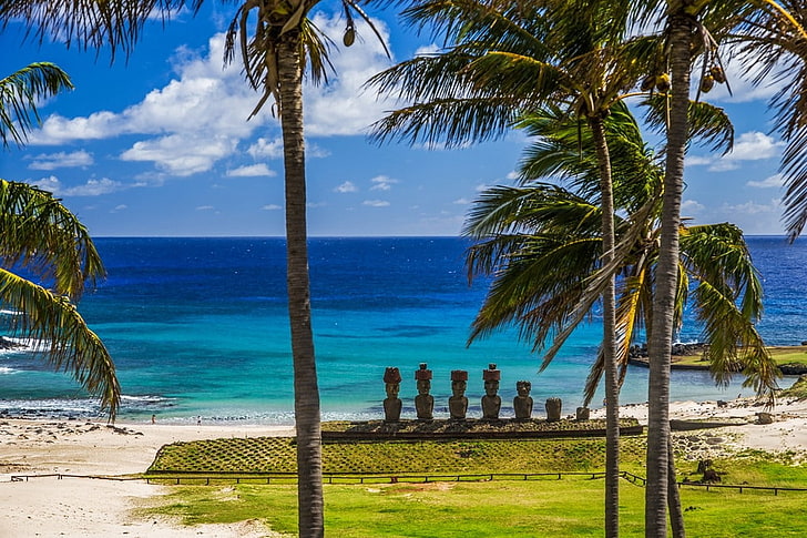 nature, landscape, beach, sea, palm trees, grass, sand, Moai