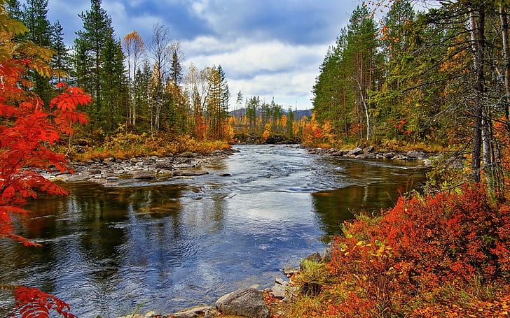 River, trees, autumn, nature scenery, HD wallpaper