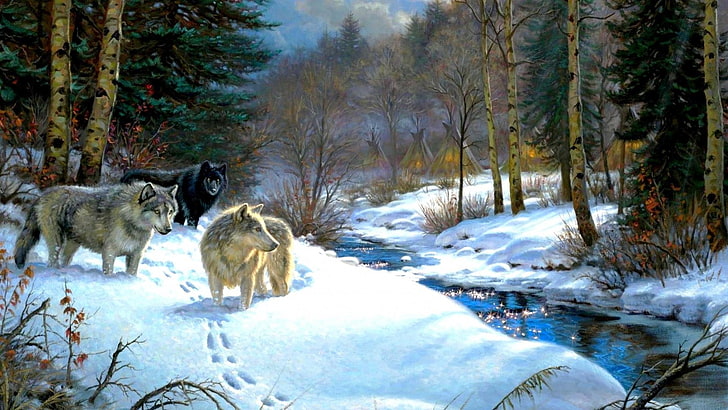 wildlife, winter, snow, wilderness, freezing, wolf, tree, woodland, HD wallpaper