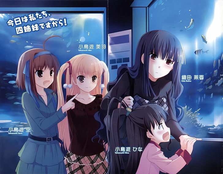 HD wallpaper: Papa no Iukoto wo Kikinasai!, anime girls, Oda Raika,  Takanashi Sora | Wallpaper Flare