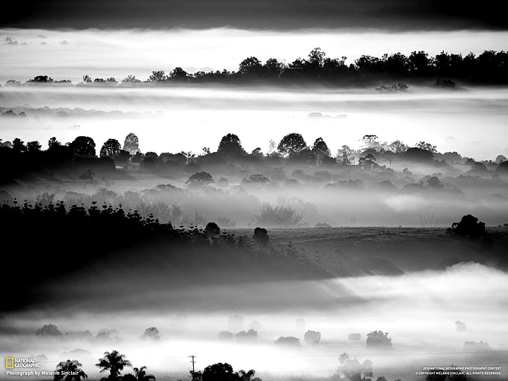 white and black beaded necklace, landscape, mist, nature, fog, HD wallpaper