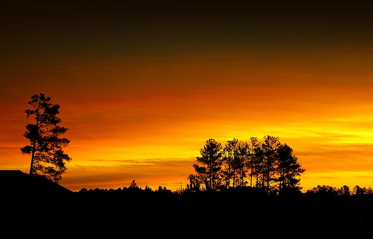 silhouette, sunset, sky, beauty in nature, tree, orange color, HD wallpaper