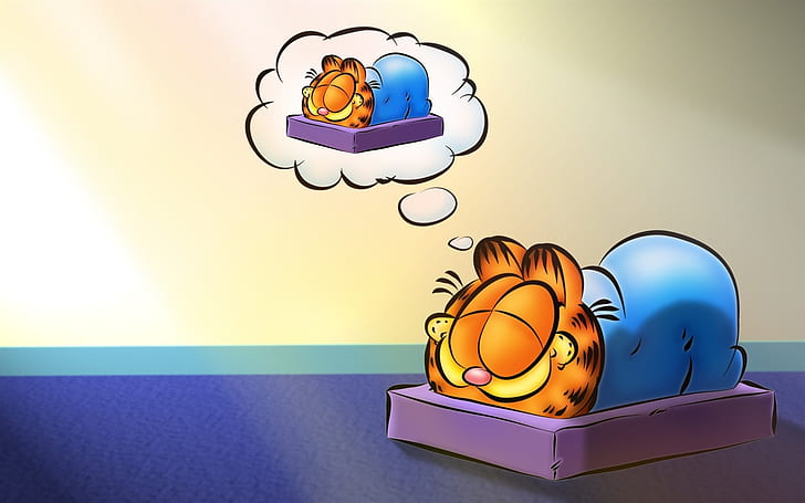 HD wallpaper: Cartoon star Garfield, garfield sleeping while dreaming  picture | Wallpaper Flare