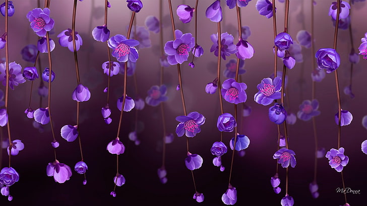 purple orchid digital wallpaper, pink petaled flowers, purple flowers, HD wallpaper